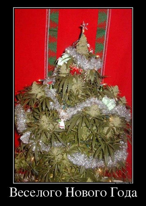 Новогодние демотиваторы (22 шт) Новогодние демотиваторы (22 шт)