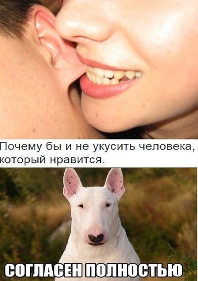 Прикольные картинки (67 шт) Прикольные картинки (67 шт)