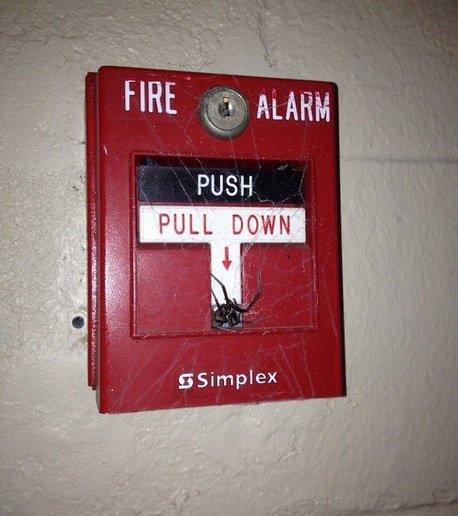 Худшие места, в которых можно обнаружить пауков (12 фото) Худшие места, в которых можно обнаружить пауков (12 фото)