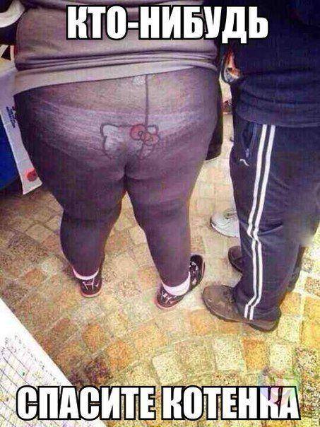 Прикольных картинок пост (48 шт) Прикольных картинок пост (48 шт)