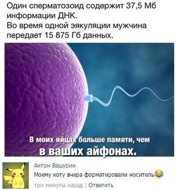 Прикольные комменты и смс-диалоги (34 фото) Прикольные комменты и смс-диалоги (34 фото)