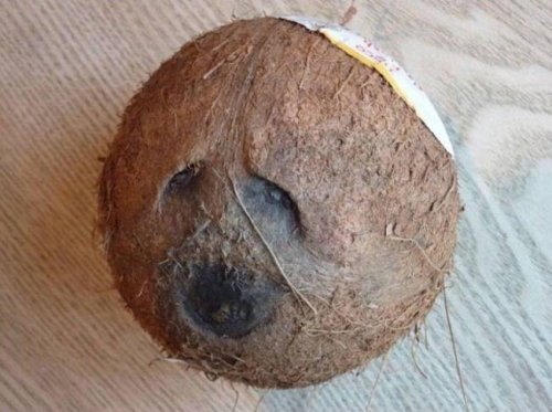 Забавные рожицы в еде (22 фото)