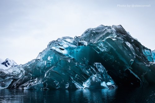 Уникальные кадры: как выглядит перевернувшийся айсберг (6 фото)