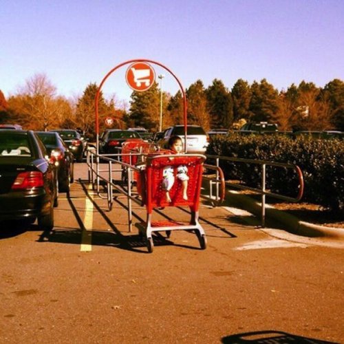 Мои родители – идиоты (23 фото)