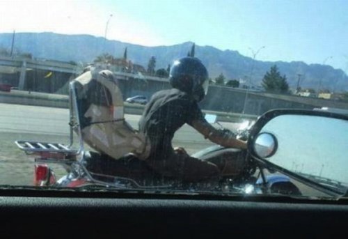 Мои родители – идиоты (23 фото)