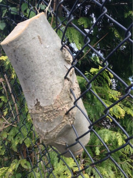 Как у них это получилось?! (30 фото) Как у них это получилось?! (30 фото)