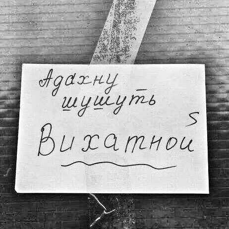 Прикольные картинки (50 шт)