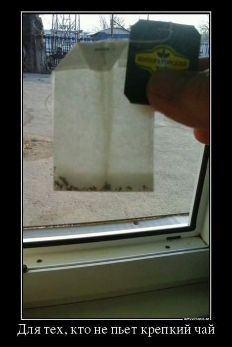 Свежие демотиваторы-приколы (24 шт) Свежие демотиваторы-приколы (24 шт)