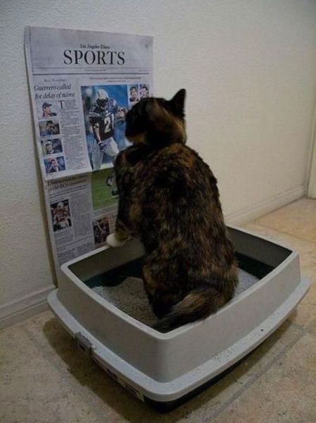 Пятничные фотоприколы и картинки (41 шт) Пятничные фотоприколы и картинки (41 шт)