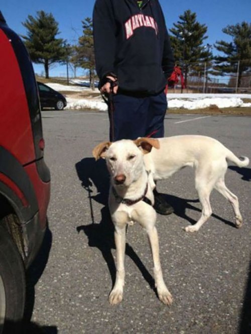 Случайно-удачные стоп-кадры (17 фото)