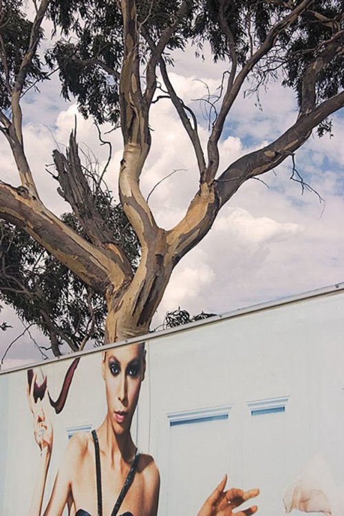 Случайно-удачные стоп-кадры (17 фото)