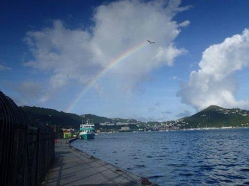 Случайно-удачные стоп-кадры (17 фото)