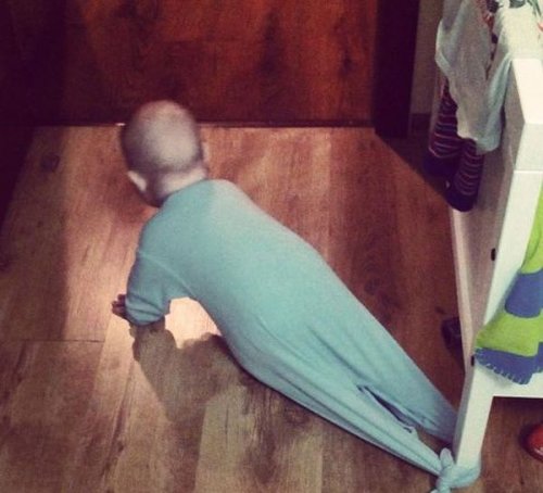 Прикольные картинки (50 шт)