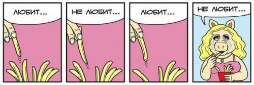 Прикольные картинки (50 шт)