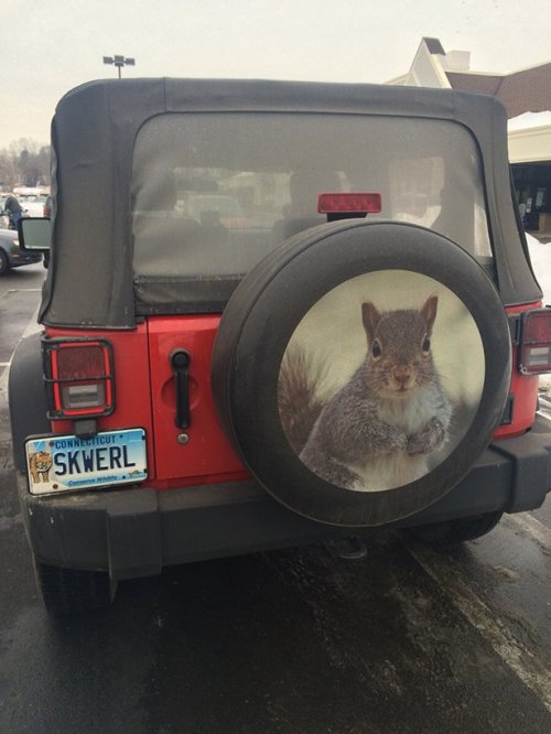 Прикольные картинки (50 шт)