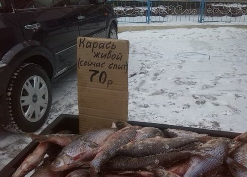 Прикольные картинки (50 шт)