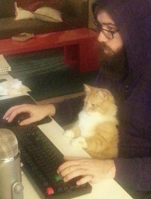 Прикольные картинки (50 шт)