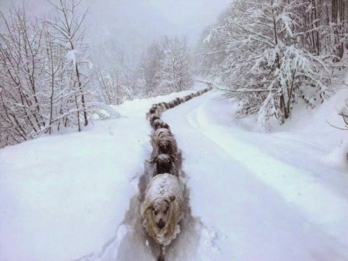 Мир прекрасен и без фотошопа! (22 фото)