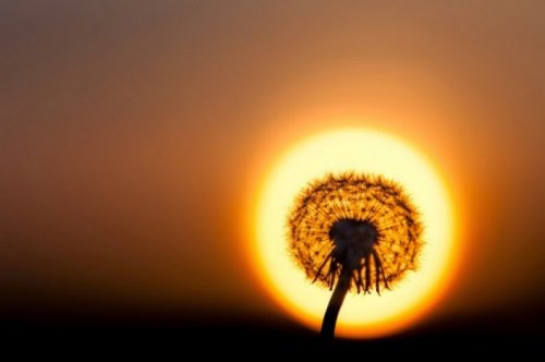 Мир прекрасен и без фотошопа! (22 фото)