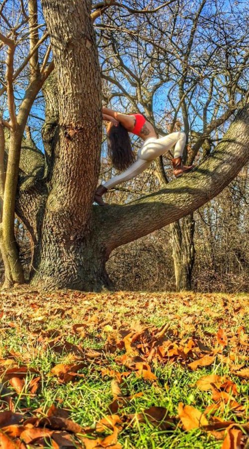 Девушки занимаются йогой (28 фото)