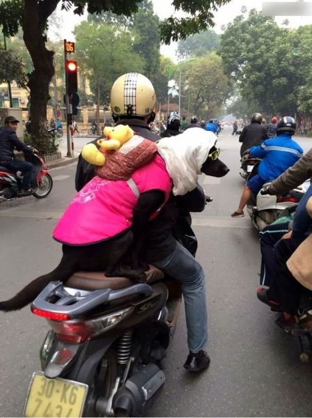 Тем временем в Азии (32 фото)