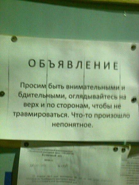 Смешные объявления и вывески (12 фото)