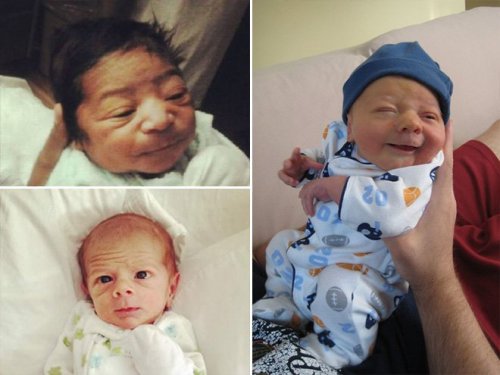 Младенцы, которые выглядят, как взрослые (13 фото)