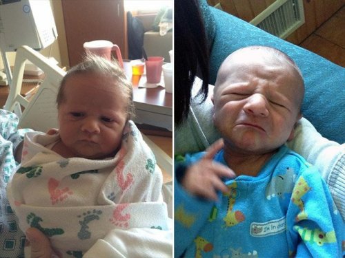 Младенцы, которые выглядят, как взрослые (13 фото)