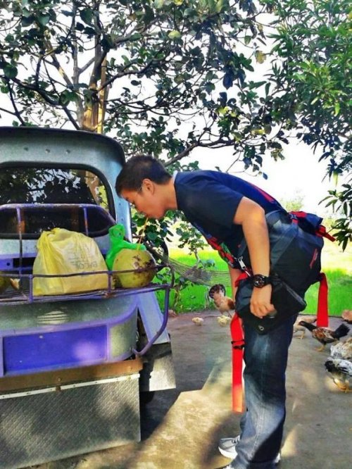 Заложники лени (23 шт)