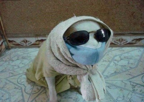 Тем временем в Азии (32 фото)