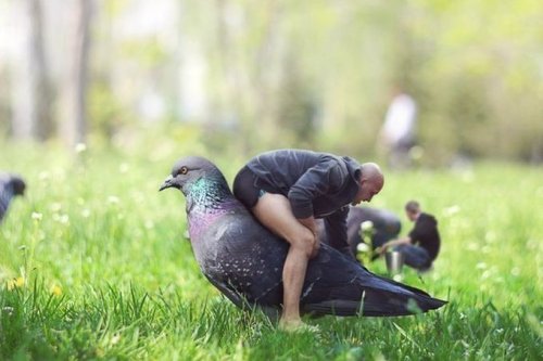 Фрик-шоу из соцсетей (16 фото)