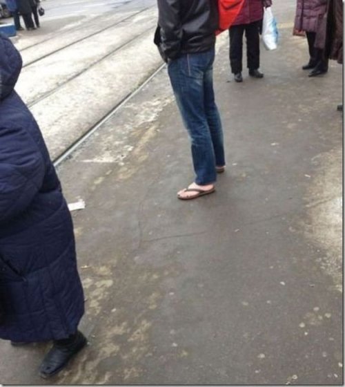 Тем временем в России (20 фото)