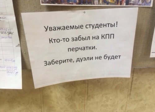 Смешные объявления и вывески (12 фото)