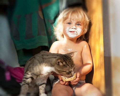 Очаровательные малыши и кошки (34 фото)