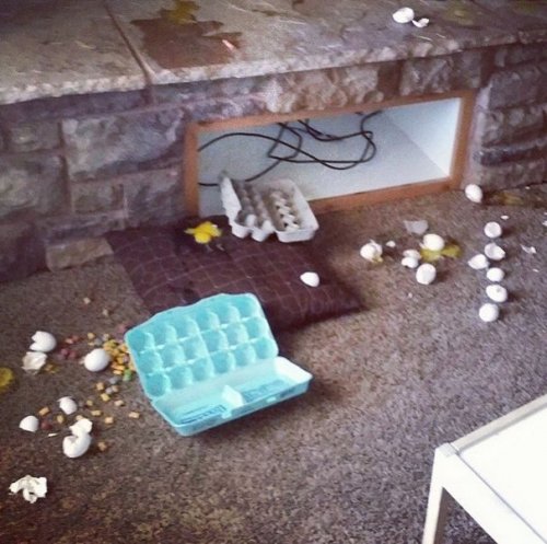 Маленькие детки &mdash; маленькие бедки (24 фото)