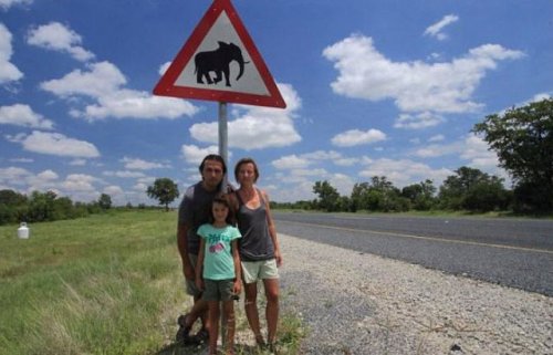 Слоны растоптали машину путешественников из Чехии (4 фото)