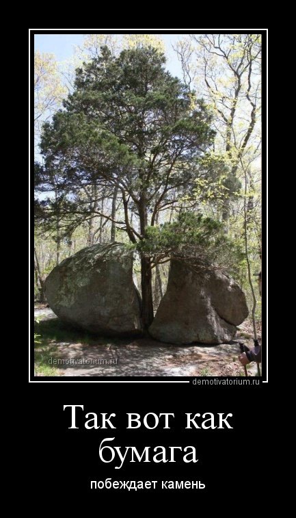 Новые демотиваторы (15 шт) Новые демотиваторы (15 шт)