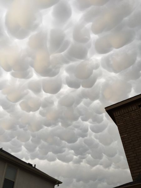 Фото-приколы для всех (37 шт) Фото-приколы для всех (37 шт)