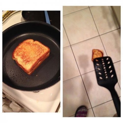 Неудачный день в картинках (24 фото)