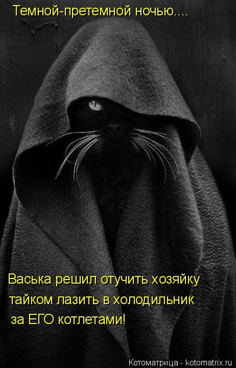 Котоматрица на Бугаге (37 фото) Котоматрица на Бугаге (37 фото)