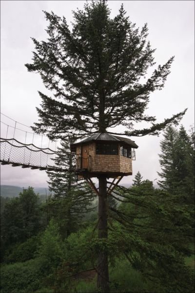 Дизайнер бросил работу, чтобы исполнить свою детскую мечту (19 фото) Дизайнер бросил работу, чтобы исполнить свою детскую мечту (19 фото)