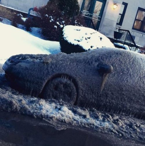 Неудачный день в картинках (15 фото)