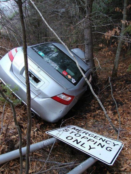 Неудачный день в картинках (15 фото)