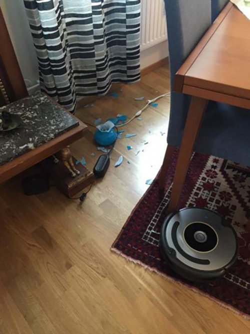 Неудачный день в картинках (15 фото)