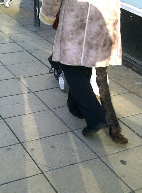 Люди, которым не нужны парикмахерские (18 фото)