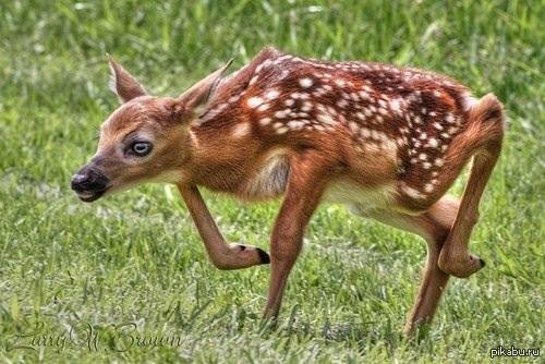 Прикольные картинки нон-стоп (46 шт) Прикольные картинки нон-стоп (46 шт)