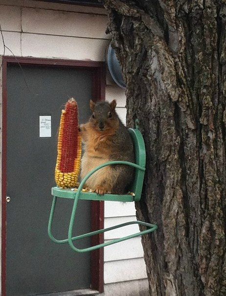 Прикольные картинки в пятницу (47 шт) Прикольные картинки в пятницу (47 шт)