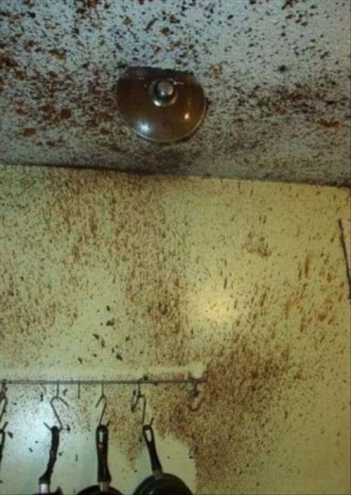 Сплошные казусы да упсы (22 фото)