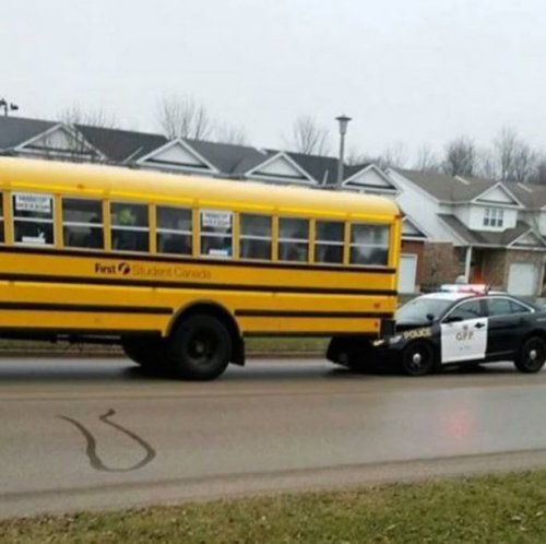 Сплошные казусы да упсы (22 фото)