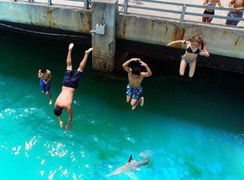 Сплошные казусы да упсы (22 фото)